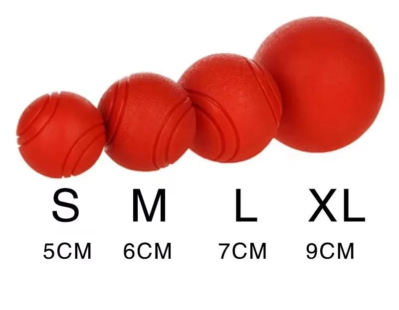 Bola Canina BiteSafe – Resistente a Mordidas