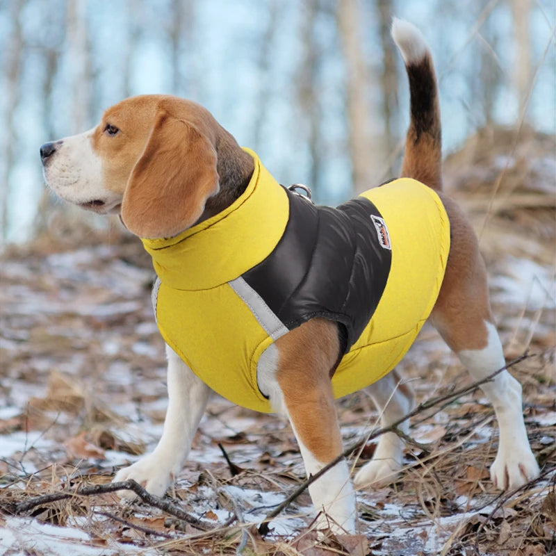 Casaco Pet Winter Pro – Impermeável e Acolchoado